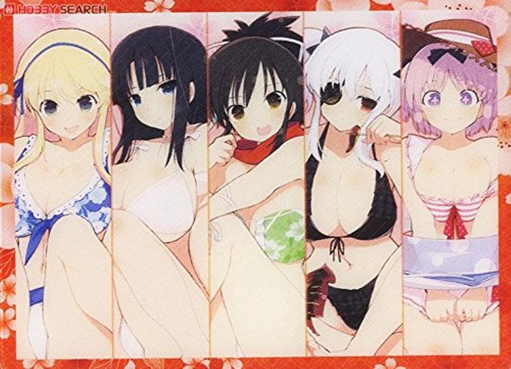 Amazon.co.jp: キャラクターデッキケース 【閃乱カグラ（国立半蔵学院